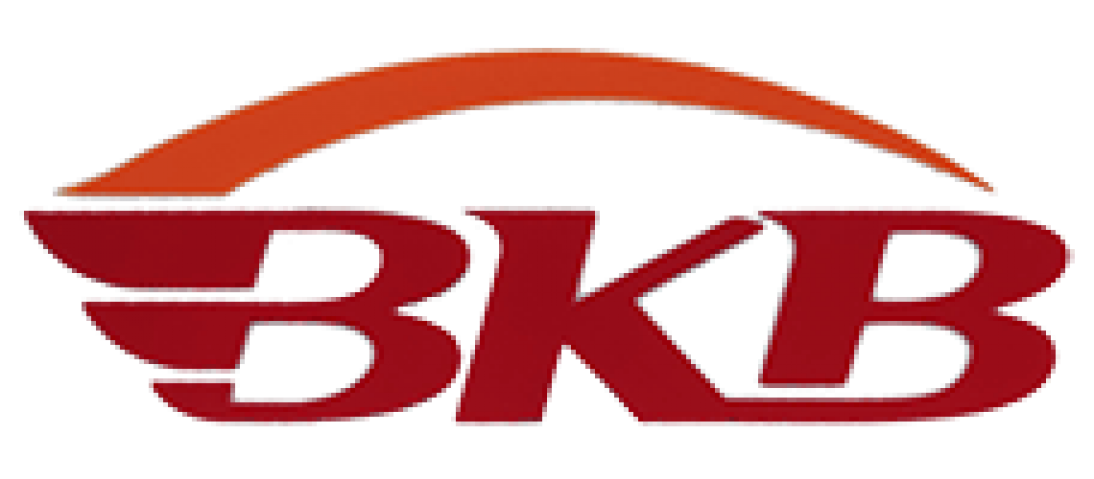 Logotipo de BKB skates