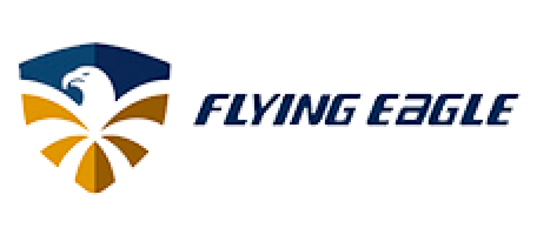 Logo Flying Eagle